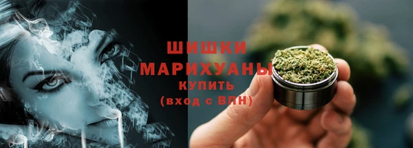 прущая мука Каменногорск