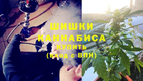 дживик Сатка
