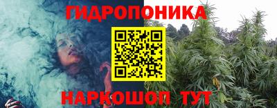 СК Лесосибирск