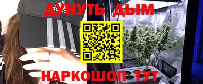 СК Лесосибирск