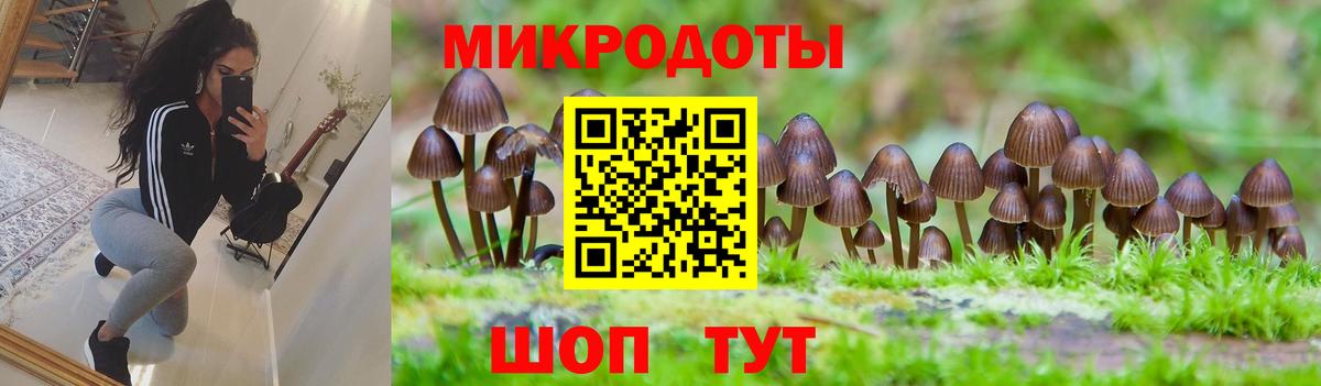 Галлюциногенные грибы Psilocybine cubensis  купить наркоту  Сосновоборск 